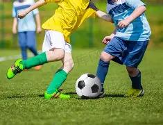 托纳利喜悦,续约纽卡征,未来展望虽,巅峰国际PG巅峰国际娱乐首页,巅峰国际PG巅峰国际娱乐官方网站,巅峰国际PG巅峰国际娱乐平台,巅峰国际PG巅峰国际娱乐A超凡国际